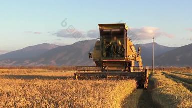 农业结合收割机小麦大米黑麦收获稳定摄像头索尼拍摄关闭
