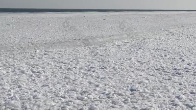 浮动冰海海岸
