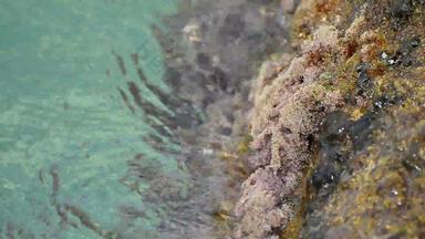 paradice海洋清洁海水飞溅海岸岩石珊瑚循环水波洗粗糙的岩石珊瑚