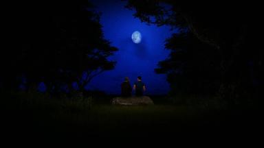 夫妇坐着岩石森林完整的月亮布满星星的天空
