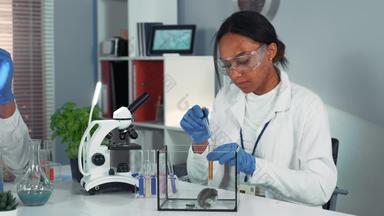 实验实验室鼠标混合比赛女科学家吸管下降液体容器