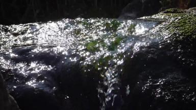 新鲜的水流藻类快流动水流动水
