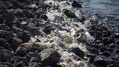 塑料垃圾生态海腐烂的聚乙烯垃圾海岸浮点数水污染海杀死动物乌克兰