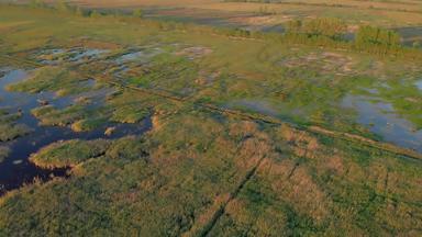 空中无人机镜头匈牙利绿色草地景观春天湿地由于很多雨