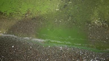 富<strong>营</strong>养化<strong>环境</strong>问题质量发展蓝绿色海藻微胞藻属绿脓杆菌被污染的富<strong>营</strong>养的湖亚尔帕格敖德萨地区乌克兰