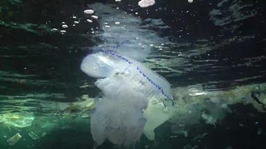 塑料<strong>垃圾</strong>碎片浮动水下<strong>海洋</strong>污染塑料碎片水杀死野生动物黑色的海布尔加里
