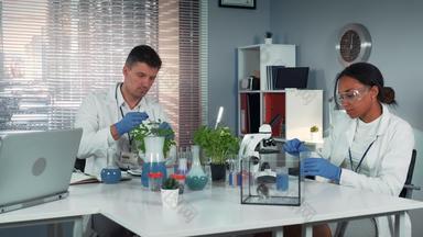现代实验室<strong>科学家</strong>帮助的同事行为实验准备肥料瓶