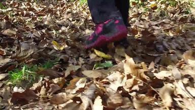 女人腿士力架鞋子走公园森林路径覆盖秋天色彩斑斓的叶子慢运动