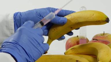 女人手套注射器遗传修改水果