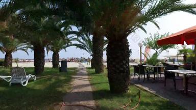 热带海滩棕榈树观点<strong>替身</strong>拍摄