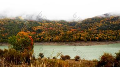 坏<strong>天气秋天</strong>色彩斑斓的树叶湖