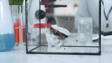 关闭鼠标玻璃容器实验化学实验室
