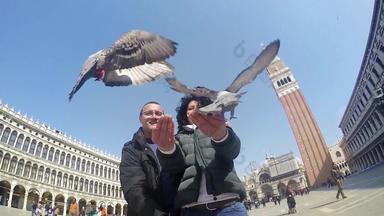 鸽子喂养著名的吸引力马可广场威尼斯慢运动拍摄夫妇喂养鸟飞行斯洛媒介拍摄夫妇喂养鸽子马克的广场帧/秒股票镜头