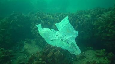 塑料垃圾碎片浮动水下海洋污染塑料碎片水杀死野生动物