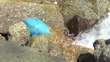 蓝色的塑料袋食物容器打击波