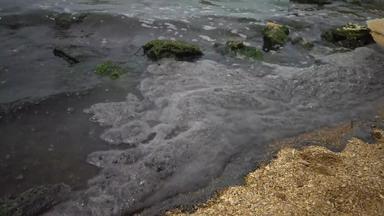 脏泡沫水海滨富营养化污染储层生态问题