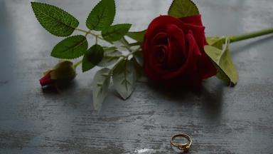 关闭黄金订婚环珠宝乡村金属地板上软焦点浪漫的红色的玫瑰花背景爱建议提出概念情人节一天婚礼假期复制空间