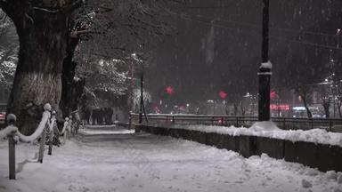 城市城市人<strong>行道树</strong>覆盖雪冬天时间