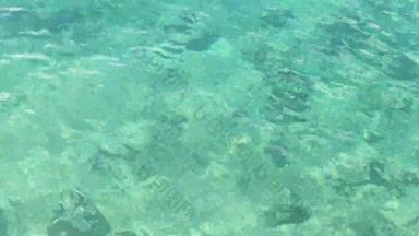 清晰的水加勒比海
