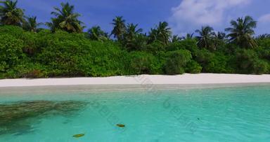 白色岩石海滩银行和平热带岛和平撤退天漂移美棕榈树清晰的水环绕岛