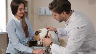 男性兽医查询女人宠物