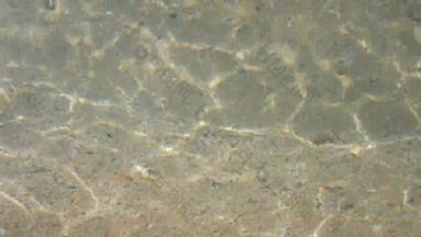 摘要水背景小波海水水晶清晰的白色沙子简单的夏天海滩背景