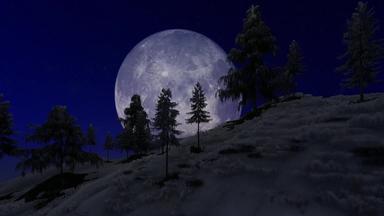 男人。运行冬天森林小道完整的月亮