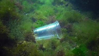 塑料垃圾海海洋野生黑色的海