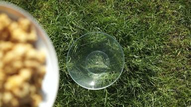 健康的有机早餐牛奶什锦早餐危机格兰诺拉麦片坚果谷物倒玻璃透明的碗杯绿色草草坪上慢运动