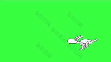 运行狗卡通动画孤立的绿色屏幕