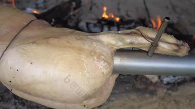 细节皮肤鸡火焰烧烤花园聚会，派对传统的烧烤腌制鸡肉