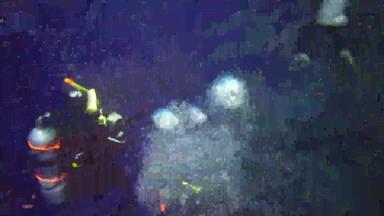 埃及3 月 19 日知道阿布达巴布3月空气泡沫杂项闪耀水空气泡沫潜水红色的海