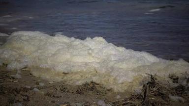 脏泡沫水海滨富营养化污染储层生态问题黑色的海敖德萨湾