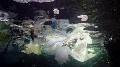 塑料污染海洋塑料袋瓶袋浮动水水母保加利亚黑色的海