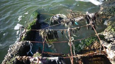 塑料垃圾生态海腐烂的聚乙烯垃圾海岸浮<strong>点数</strong>水污染海杀死动物乌克兰