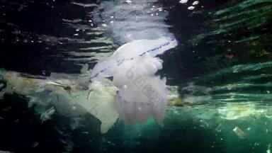 <strong>塑料</strong>污染海洋<strong>塑料</strong>袋瓶袋浮动水水母保加利亚黑色的海