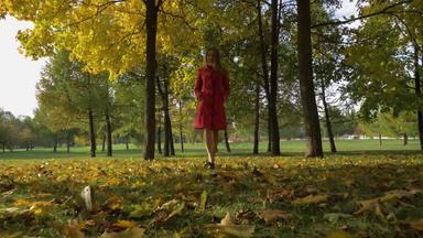 年轻的高加索人女人走秋天公园黄色的枫木树慢运动<strong>替身</strong>低角拍摄