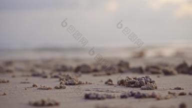 小螃蟹使沙子球海滩日落