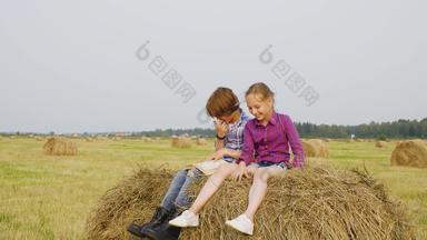 女孩男孩青少年坐着干草堆收获场快乐男孩女孩阅读书有堆栈秋天场青少年有趣的农村