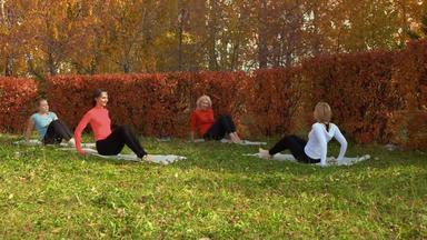 女集团培训伸展运动锻炼瑜伽地毯秋天公园健身女人培训户外锻炼色彩斑斓的城市公园女健身户外
