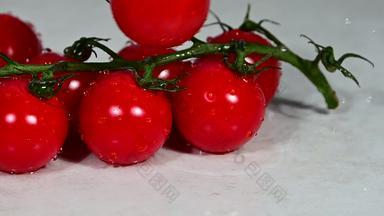 樱桃番茄瀑布群西红柿