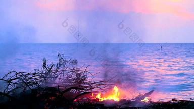 燃烧木垃圾海创建污染海洋生活