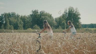 女性自行车骑小麦场