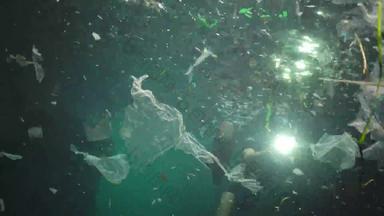 塑料污染海洋塑料袋瓶袋浮动水水母保加利亚黑色的海
