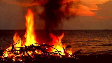 燃烧木垃圾海创建污染海洋生活环境