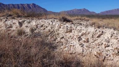 大晶体<strong>石膏</strong>粘土亚利桑那州沙漠盐湖白色金沙国家公园边境墨西哥