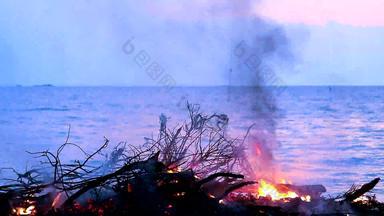 燃烧木垃圾海创建污染环境海洋生活