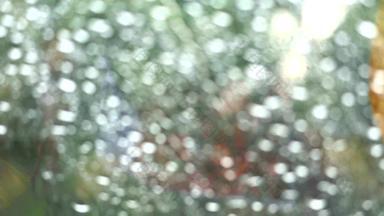 模糊雨下降重镜子车模糊树公园