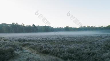 观点雾草地早....布雷达北布拉班特荷兰