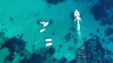 <strong>游艇</strong>环礁湖阳光明媚的一天航行船<strong>游艇</strong>海空中摄影无人机令人惊异的<strong>游艇</strong>航行船绿松石透明的海前视图航行船蓝色的环礁湖
